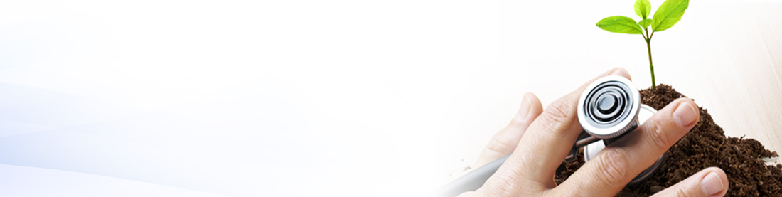 Sustainability main banner